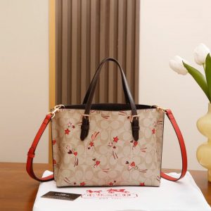 Coach Mollie Tote