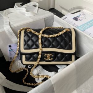 Chanel Timeless Bicolour Crossbody Sz 23 PO