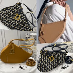 Dior Saddle Rodeo 22cm