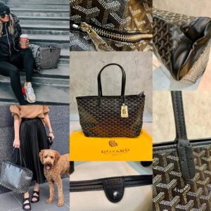 Goyard Artois MM