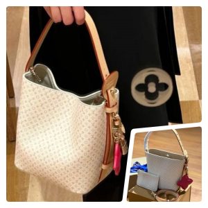 LOUIS VUITTON All in BB Bag