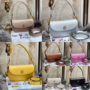 Coach Emmy Saddle 🌈