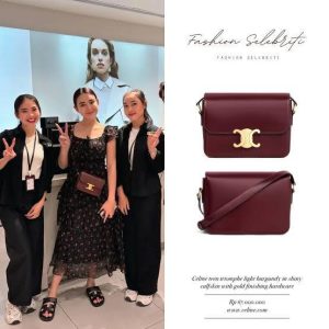 CELINE Triomphe Teen in Calfskin Leather Bag