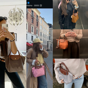 Longchamp Classic Small 🤎