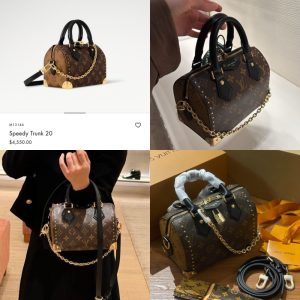 LV Speedy Trunk 20 Monogram