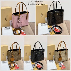 Coach Mollie Tote Crossbody 🎀