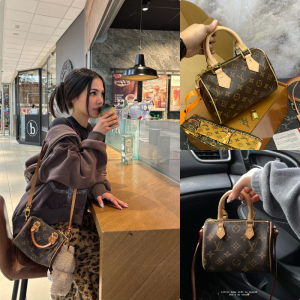 LV SPEEDY MONO MINI 🤎