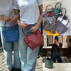 GOYARD ANJOU Tote SMALL ♥️✨
