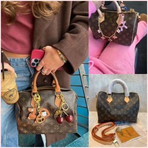LV Speedy Bandoulier 25 Monogram 🤎