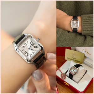 CARTIER Santos Dumont in Black Silver~