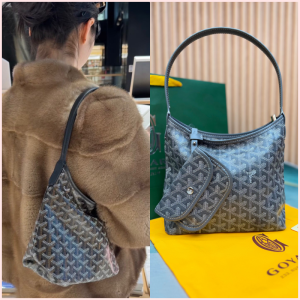 Goyard Boheme Mini 🤎✨