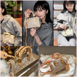 LV Nano Speedy Monogram Embleme 🤎✨